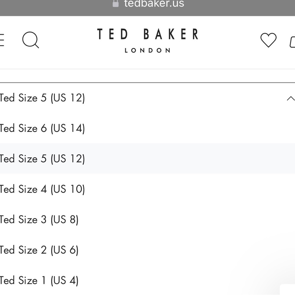 Ted Baker London Katrina Floral Print Halter Neck Sleeveless A-Line Dress size 6 - Picture 5 of 5